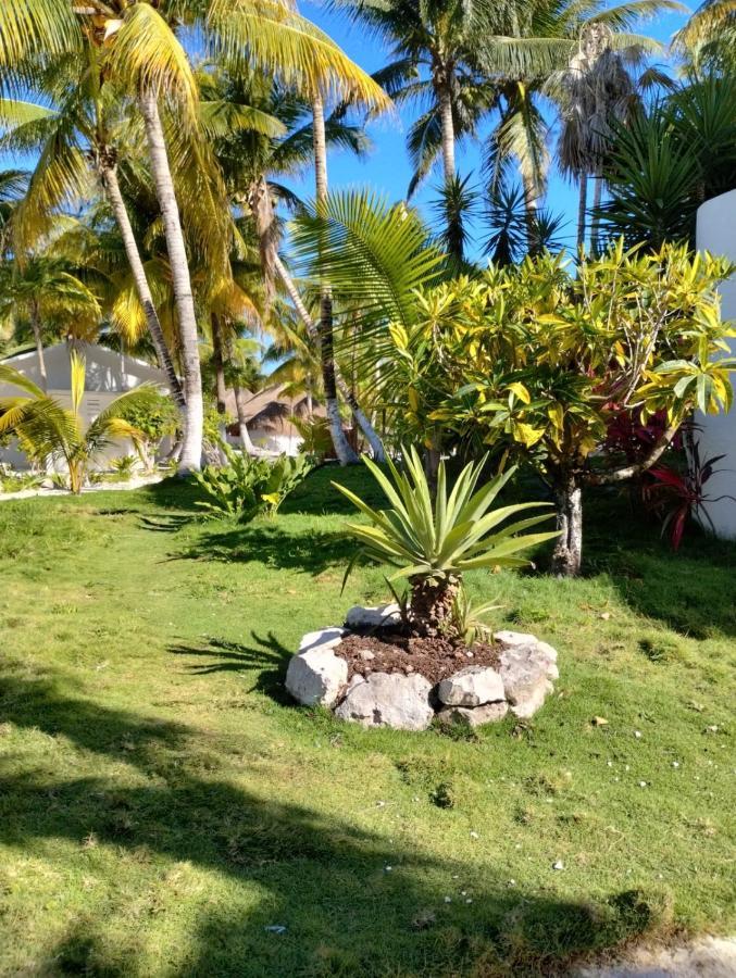 Alito Tulum Hotel Exterior photo